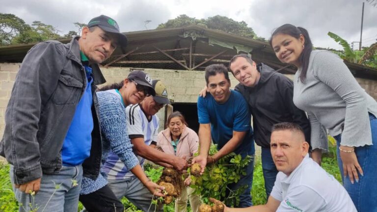 Tachirenses reciben formación sobre cultivo de semilla de papa en taller dictado por el Mincyt