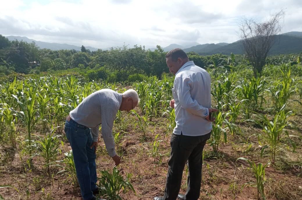 Fundacite Anzoátegui supervisa espacios para la siembra de maíz INIA-7. Fotos Fundacite Anzoátegui.
