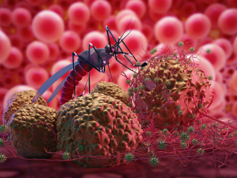OMS precalificó una segunda vacuna contra la malaria