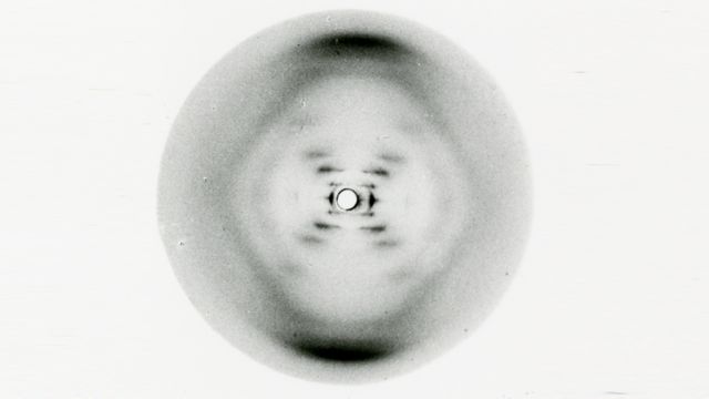 La Fotografía 51 es la primera imagen del ADN obtenida mediante difracción de rayos X en 1952. Fue tomada por Raymond Gosling, supervisado por Rosalind Franklin.