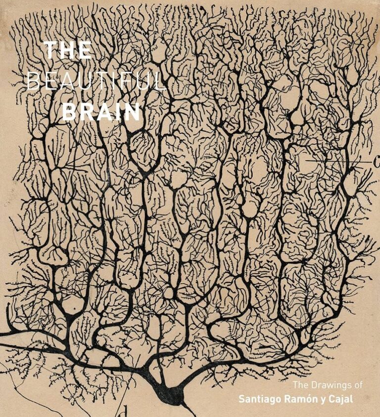 Neurona de Purkinje dibujada por Ramón y Cajal. Cortesía del Instituto Cajal