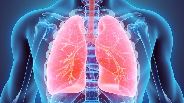 Científicos encuentran diana terapéutica para tratar la hipertensión pulmonar
