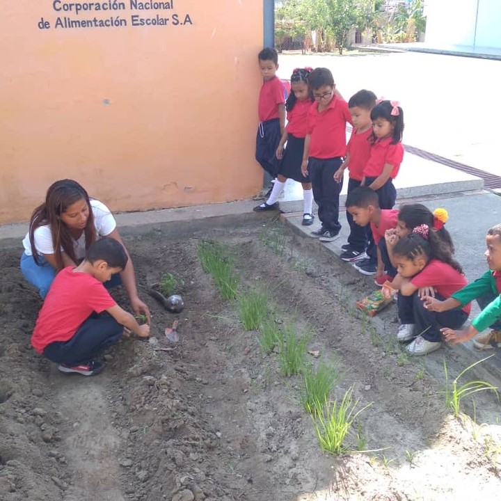 Niños y niñas de Yaracuy reciben formación en agricultura sostenible