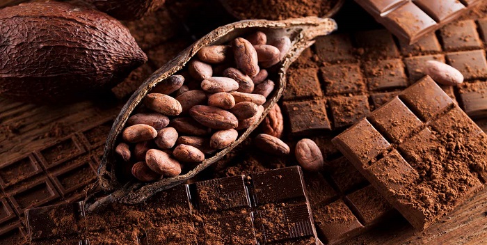 En Aragua ofrecerán talleres formativos sobre el sistema agroalimentario del cacao