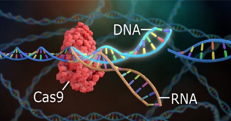 Científicos recomiendan regular el uso de edición genética CRISPR/Cas9 en humanos