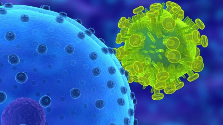 Investigación revela que los humanos son más transmisores que receptores de virus