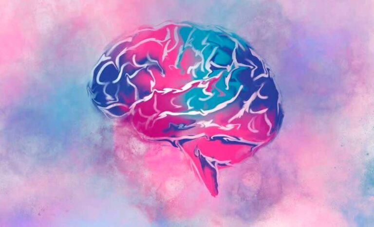 Científicos demuestran que el cerebro humano aumenta de tamaño con cada generación
