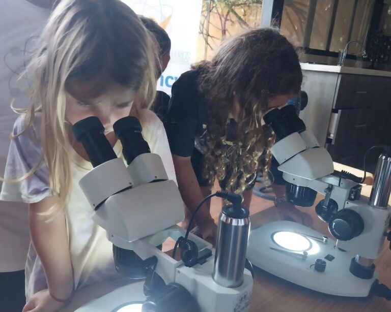 Fundacite fortalece conocimientos científicos y tecnológicos de los niños en Nueva Esparta