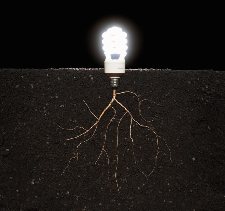 Científicos descubren proteína responsable de mantener red eléctrica microbiana bajo la tierra