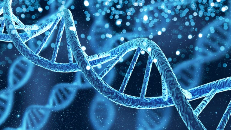 Día Mundial del ADN: molécula fundamental de la vida
