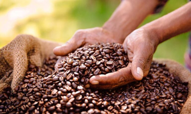 Invitan a jornada científica y acto de certificación del Programa Formativo Producción y Manejos de Sistemas Sustentables del Café