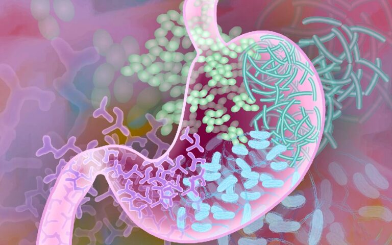 La influencia de la microbiota intestinal en las relaciones sociales