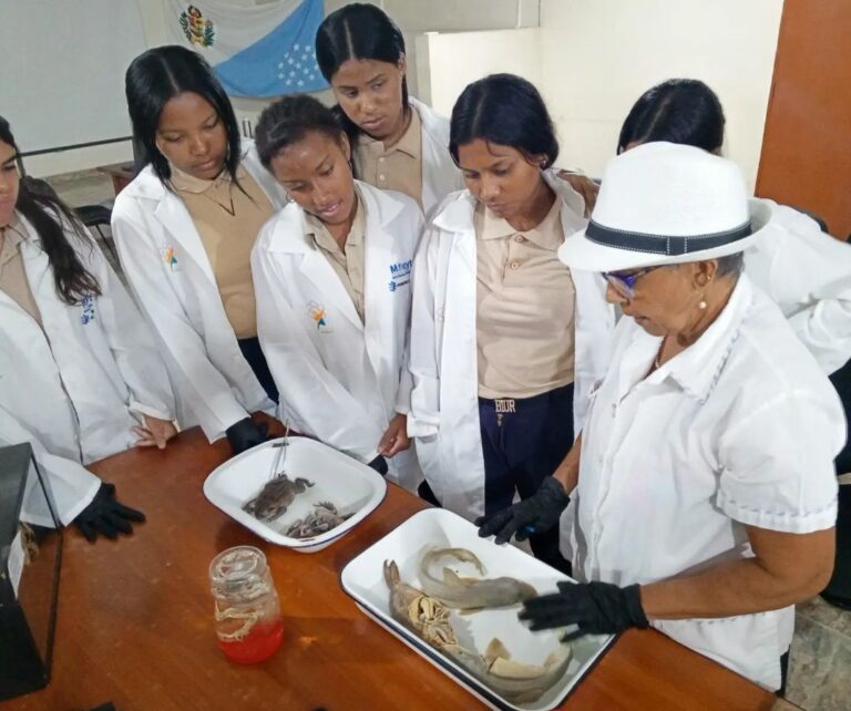 Jóvenes del estado Sucre consolidan saberes junto a la Ruta Marina