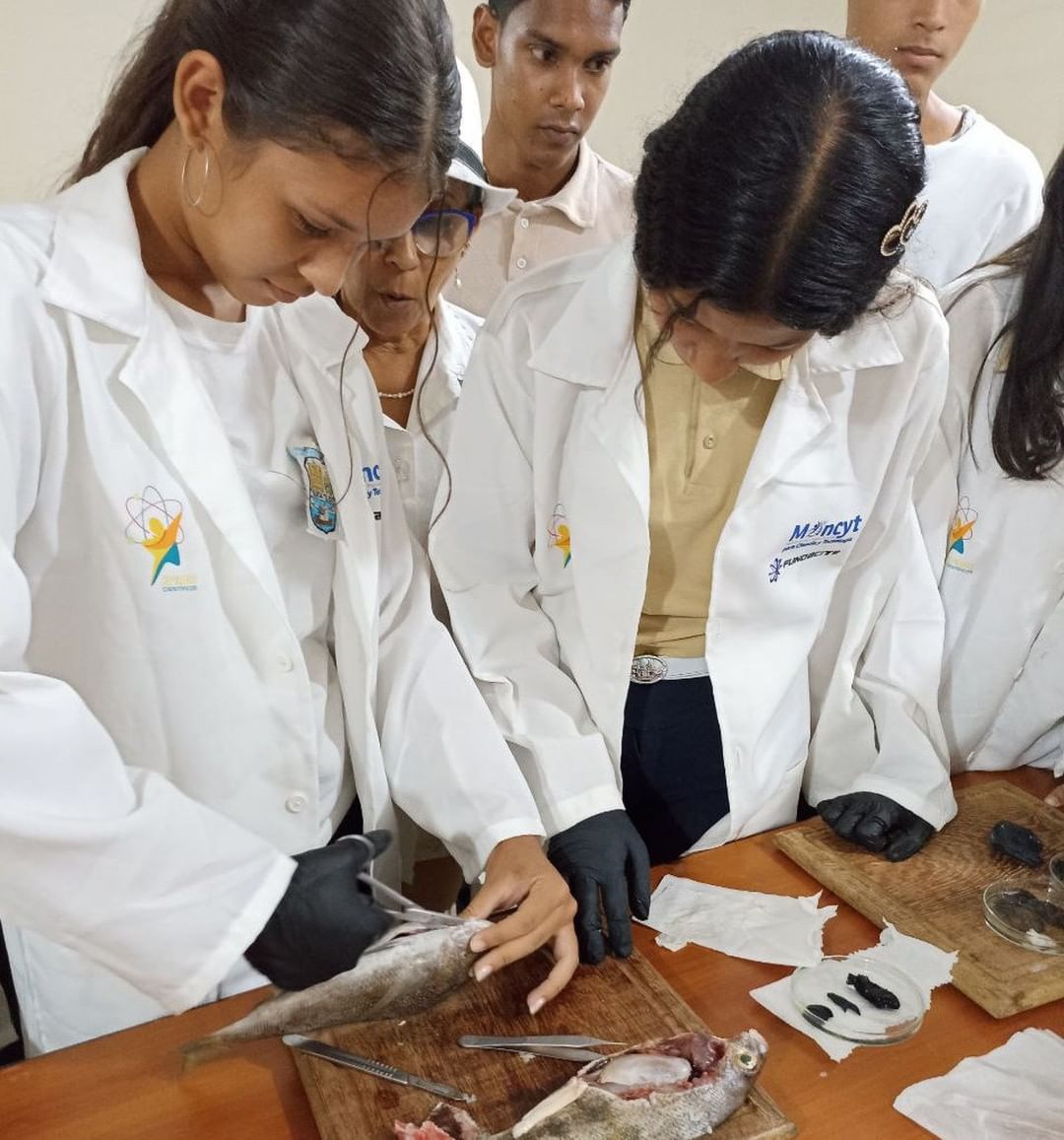 Ruta científica marina despierta curiosidad y entusiasmo en estudiantes de Sucre