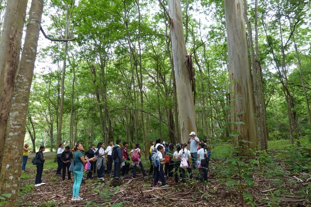 Semilleros Científicos de Aragua participan en Ruta Científica en el Parque Nacional Henri Pittier.