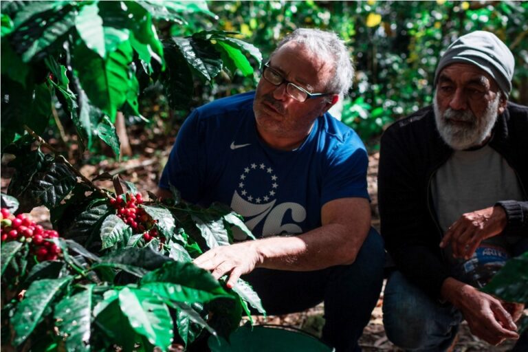 IVIC produce variedad de café reconocida entre las mejores de Venezuela