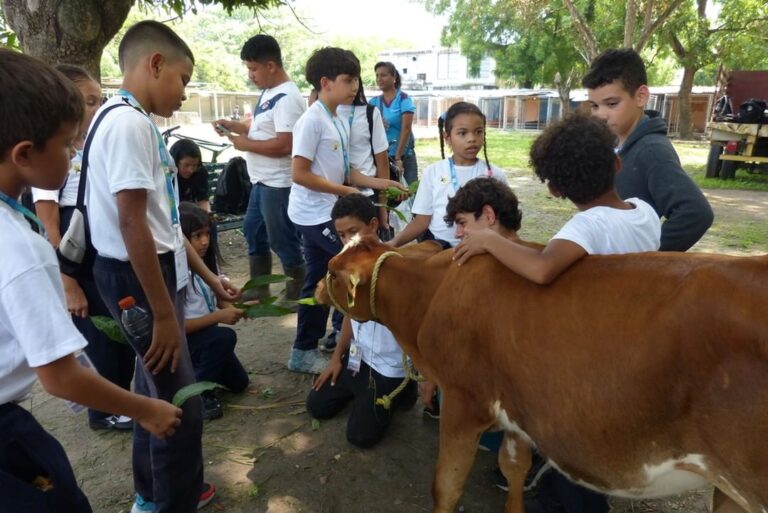 Ruta Científica “Cosechando experiencias en el mundo de la veterinaria” despertó amor por las ciencias y la naturaleza