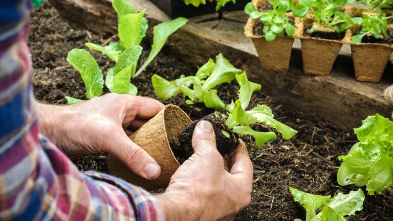 Productores de Bolívar se forman para el uso de biocontroladores y técnicas de cultivo