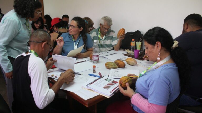 Plan Nacional de Cacao promueve formación de 20 mil productores en el país