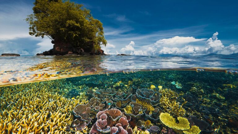 Venezuela desarrolla proyectos científicos para la conservación de la Diversidad Biológica Nacional