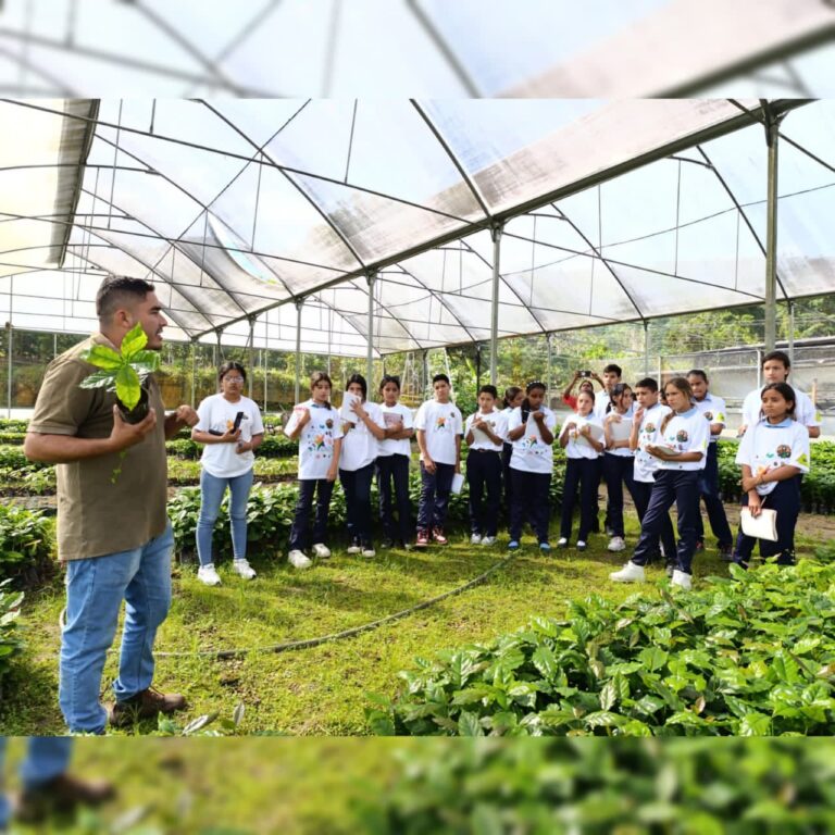 Semilleros Científicos en Mérida aprendieron prácticas locales en la Ruta Café – Cacao