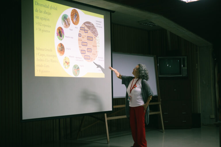 Proyecto Milagrosas Meliponas invita a conocer el legado biocultural de las abejas y el origen de las semillas en Lara