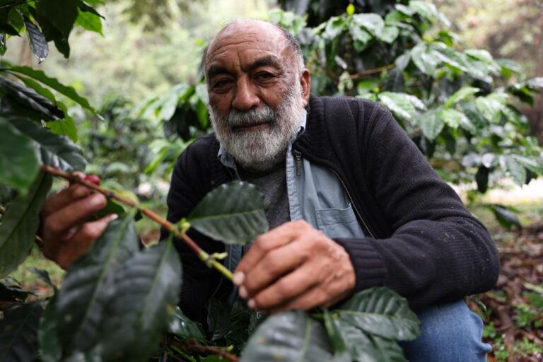 Venezuela garantiza acompañamiento científico a productores de café