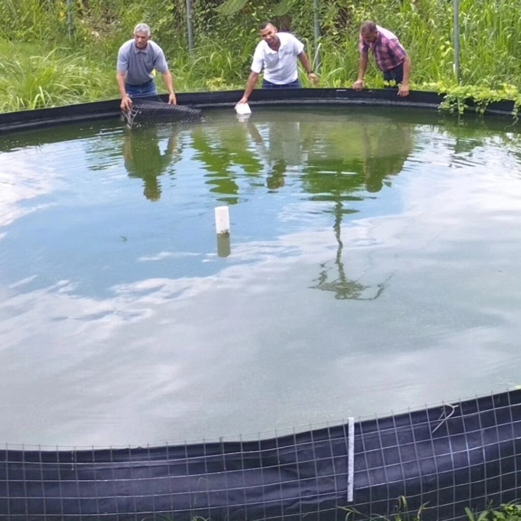acuicultura