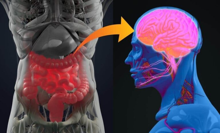 Ejercicio mitiga efectos negativos de microbiota intestinal alterada