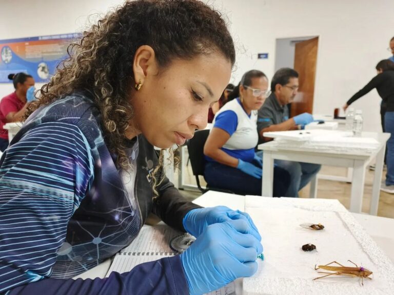 Fotos: Fundacite La Guaira
