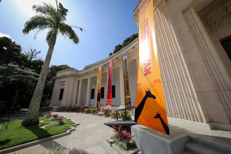 Museo de Ciencias y Fundación Infocentro dictan taller de stop motion en vacaciones escolares