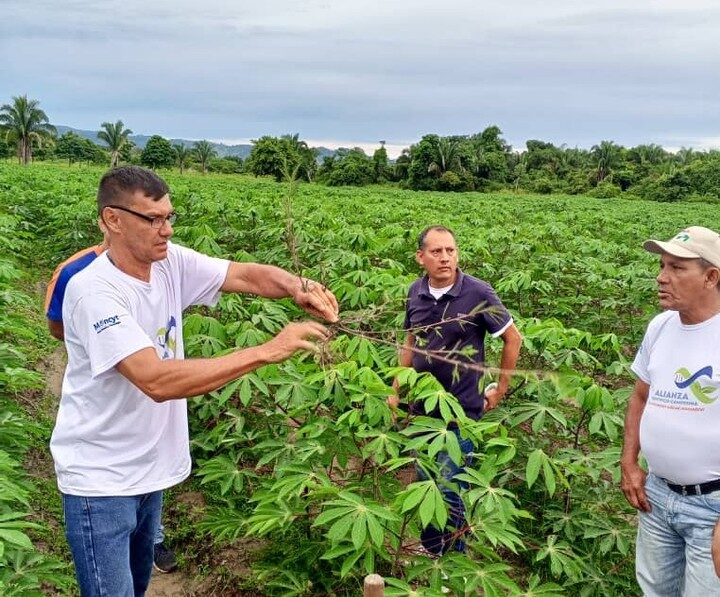 ACAV inicia jornada de formación intensiva para técnicos cacaoteros en Barinas