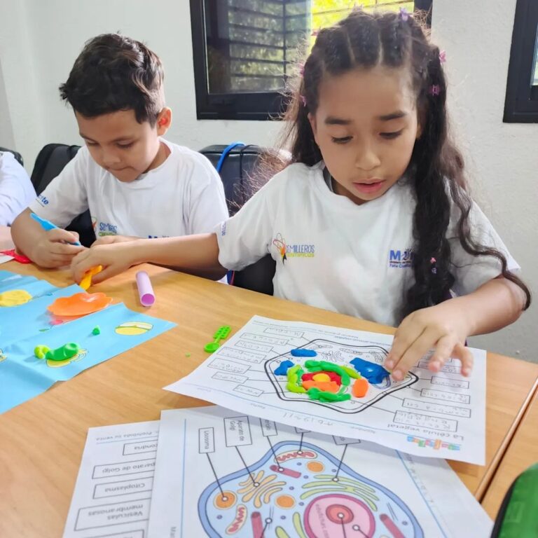 Fundacite Mérida