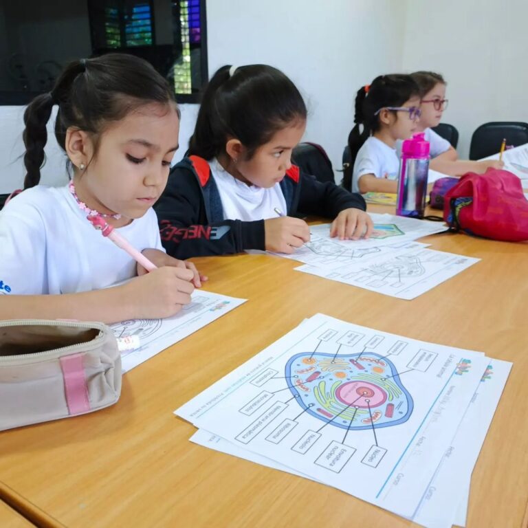 Fundacite Mérida
