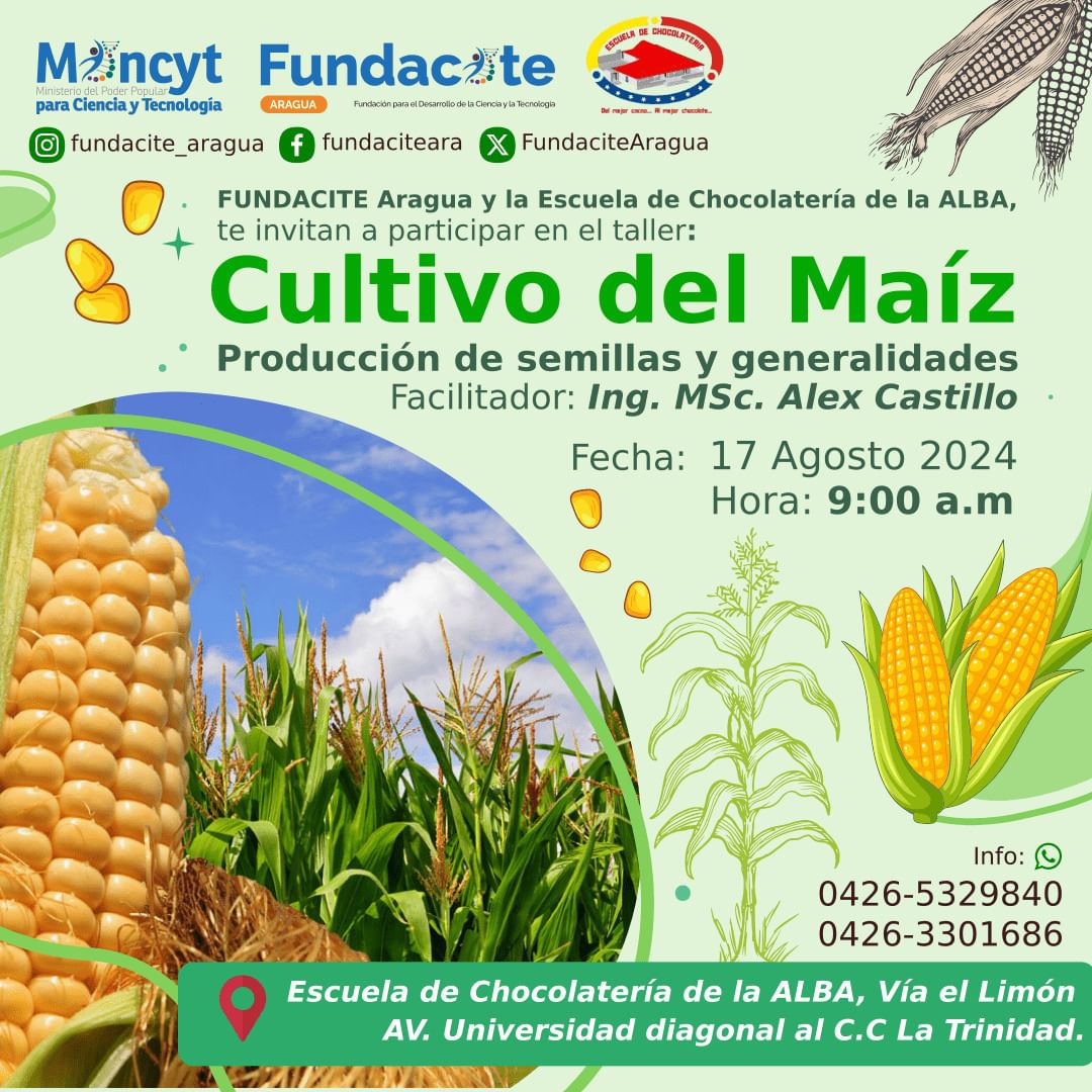 Fundacite Aragua ofrecerá taller para productores de maíz