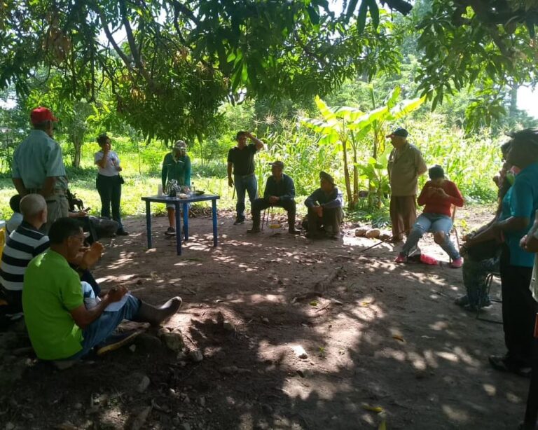 Productores de Yaracuy participaron en taller de identificación y caracterización morfológica del cacao