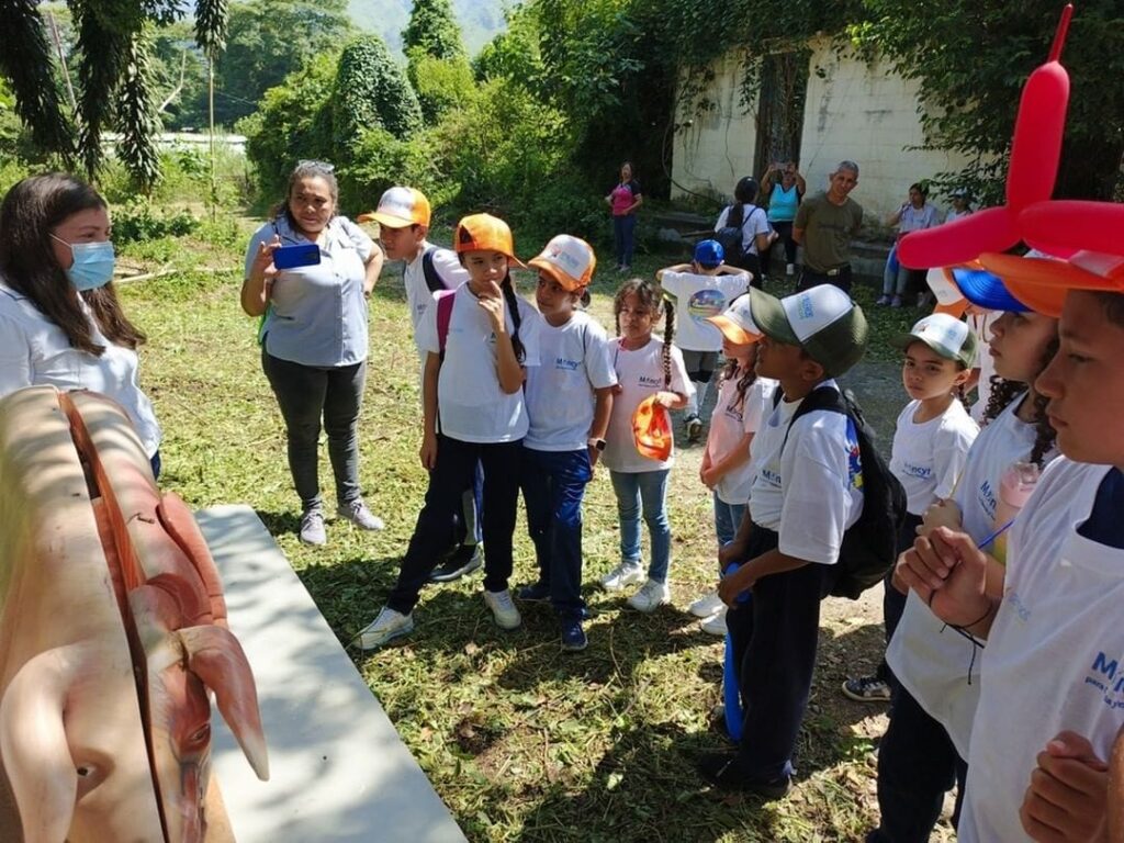 WhatsApp Image 2024-08-20 at 12.02.09(2)