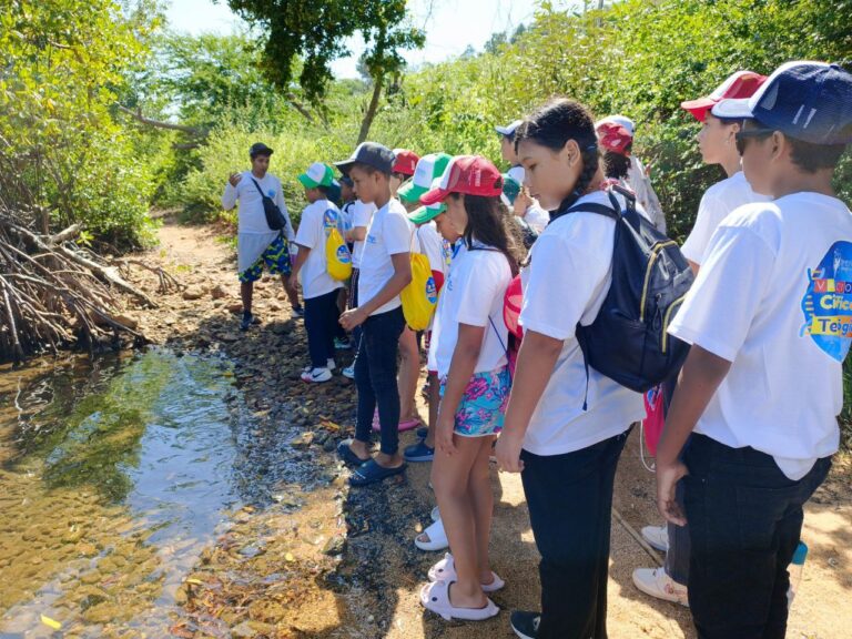 Sucre | Bahía de Carenero despierta interés científico de niños y niñas en vacaciones