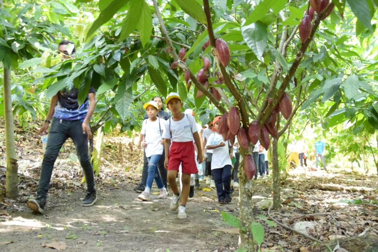 Semilleros Científicos de Yaracuy exploran la ruta del cacao en vacaciones