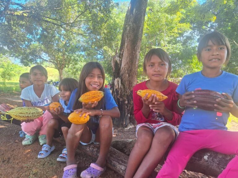 Avanza despliegue de “Ciencia del Plan Cacao” en Amazonas
