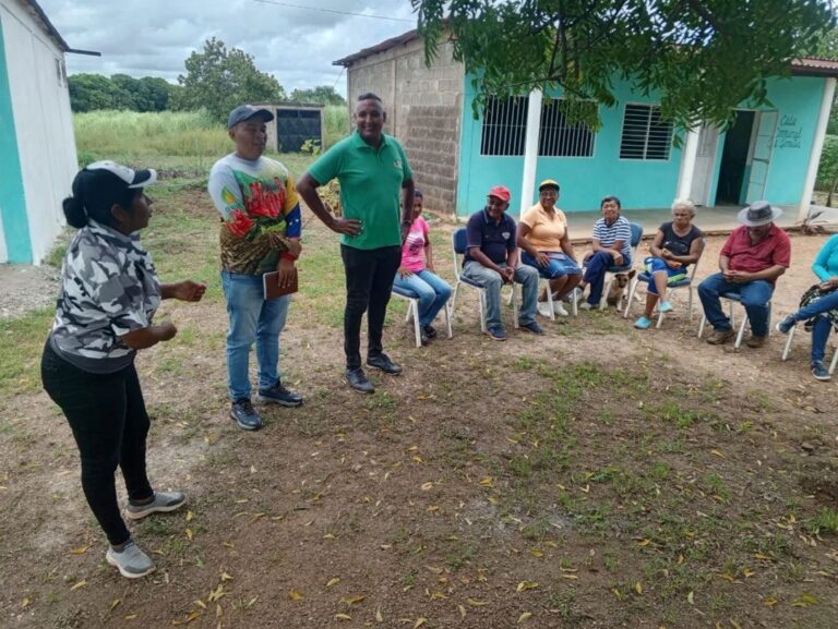 BANCO SEMILLAS GUARICO 4