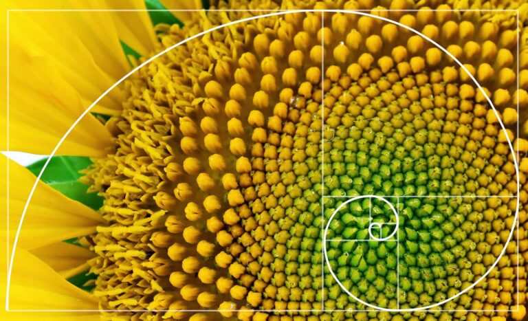 Las matemáticas son esencia de la naturaleza