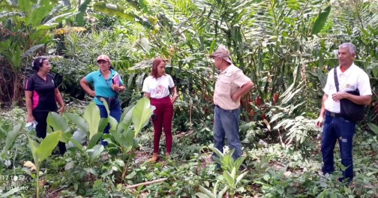 Fundación Ciepe impulsa proyectos educativos regionales en materia agroindustrial