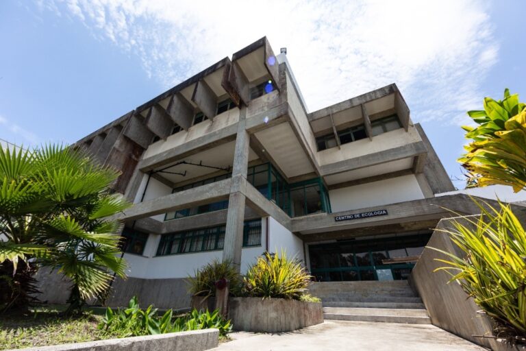 IVIC invita a participar en seminario sobre huellas estacionales en series temporales ecológicas