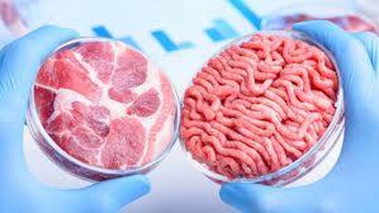 Secuencian diversidad microbiana presente en 2.500 metagenomas alimentarios