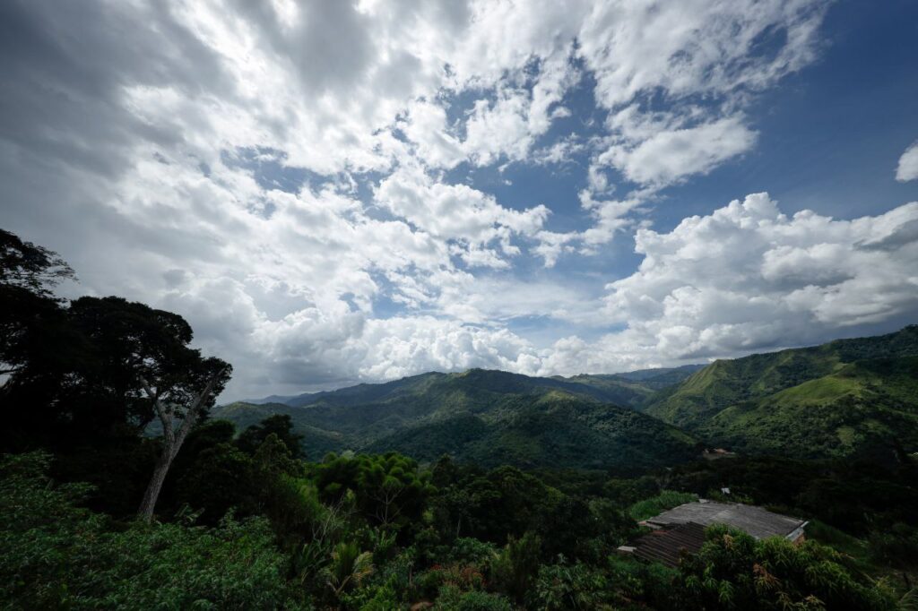 Fotos: Francisco Trias