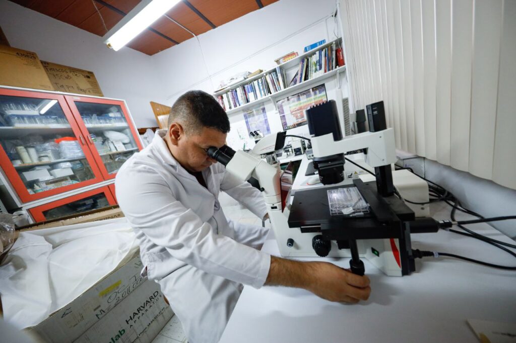 Fotos: Francisco Trias