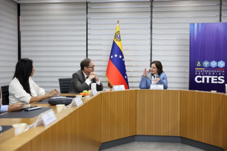 Gobierno Bolivariano avanza en agenda técnica de cooperación con el PNUD