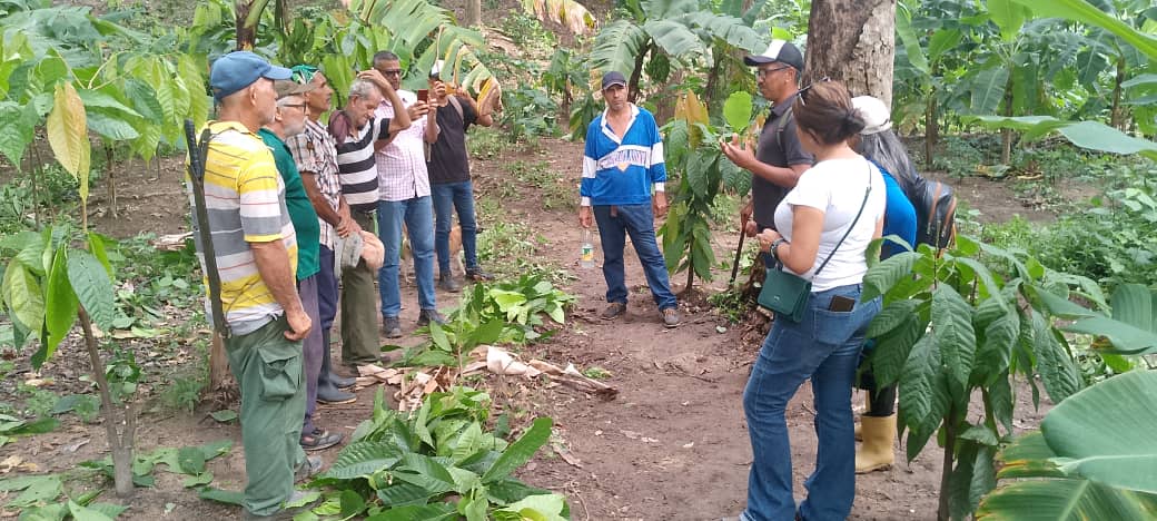 Fundación Ciepe capacita a productores agrícolas del Consejo Campesino Unión Patriótica