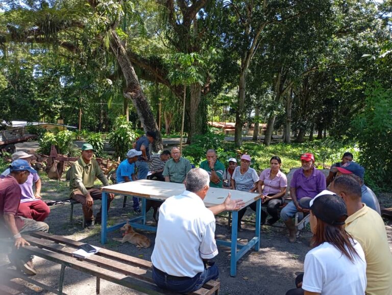 Mincyt ofrece acompañamiento técnico a productores de cacao y aguacate en Yaracuy